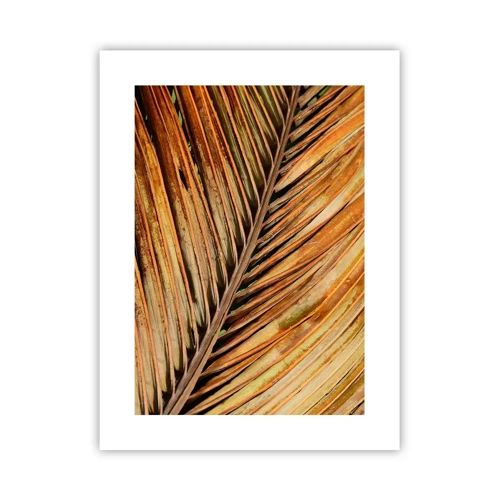 Poster - Coconut Gold - 30x40 cm