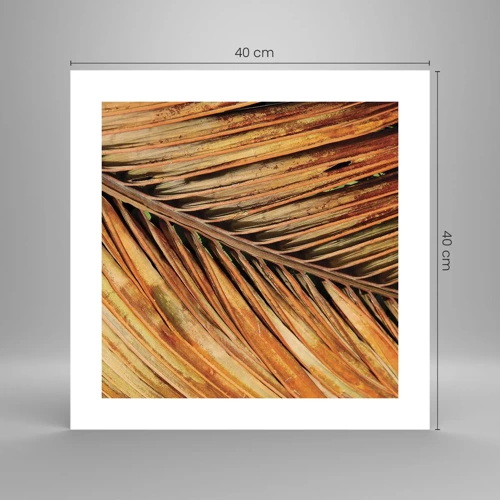 Poster - Coconut Gold - 40x40 cm