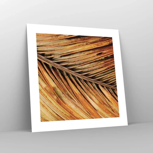 Poster - Coconut Gold - 40x40 cm