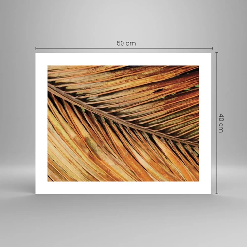 Poster - Coconut Gold - 50x40 cm