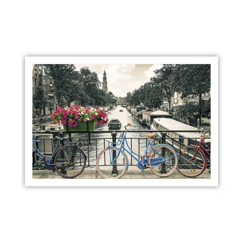 Poster - Colour of a Street in Amsterdam - 91x61 cm