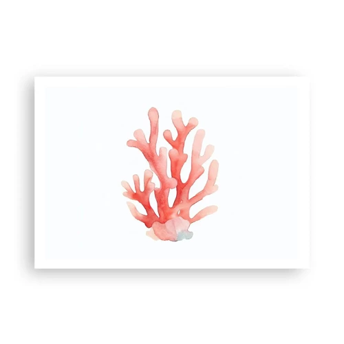 Poster - Coral Colour Colars - 100x70 cm