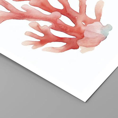 Poster - Coral Colour Colars - 40x30 cm