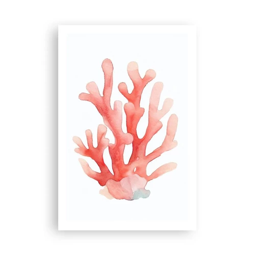 Poster - Coral Colour Colars - 61x91 cm