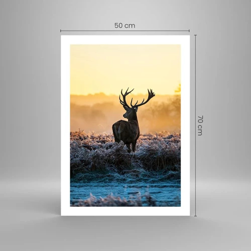 Poster - Crowned in Its Kingdom - 50x70 cm