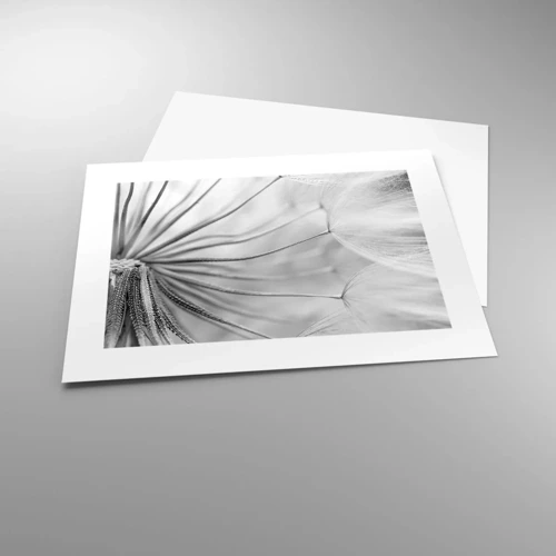 Poster - Dandelion Kites - 40x30 cm