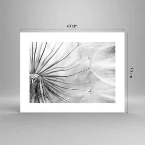 Poster - Dandelion Kites - 40x30 cm