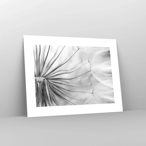 Poster - Dandelion Kites - 40x30 cm