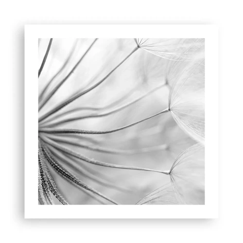 Poster - Dandelion Kites - 50x50 cm