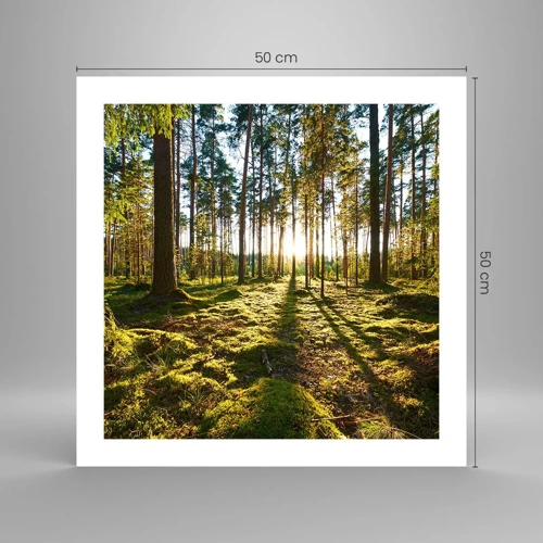 Poster - Deep in the Forest - 50x50 cm