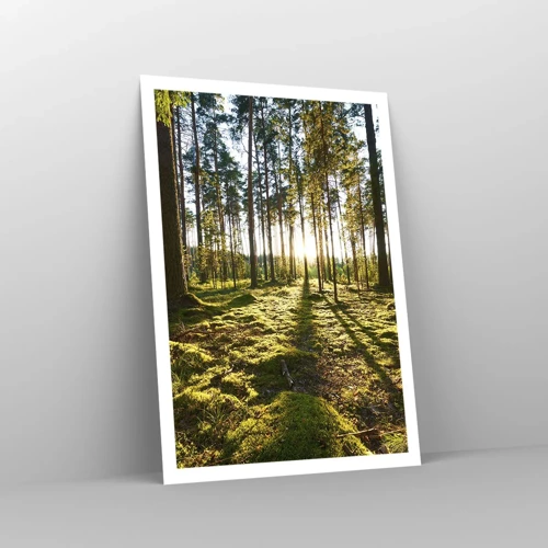 Poster - Deep in the Forest - 70x100 cm