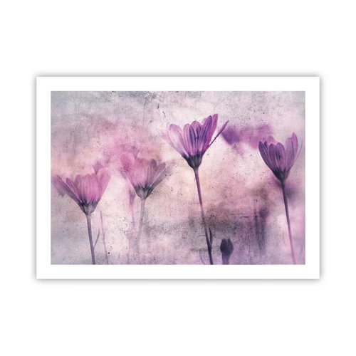 Poster - Dream of Flowers - 70x50 cm