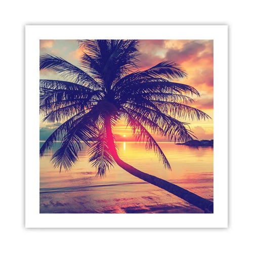 Poster - Evening under the Palm Trees - 50x50 cm