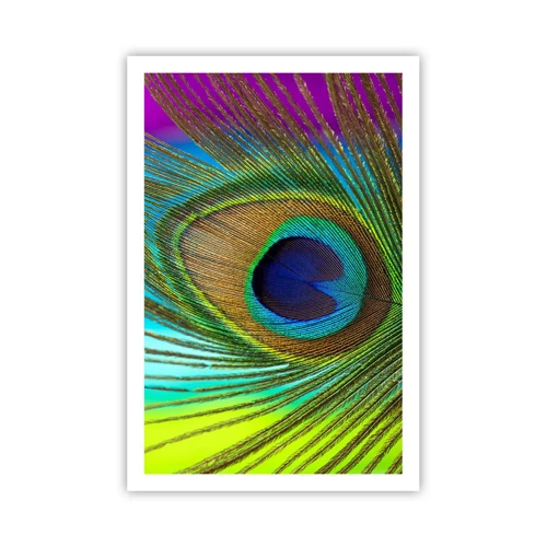Poster - Eye to Eye - 61x91 cm