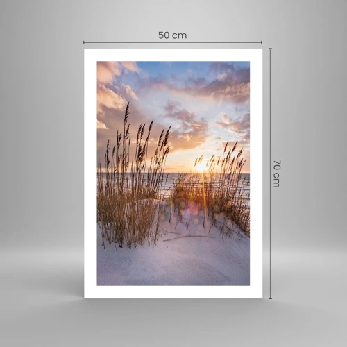 Poster - Farewell to the Sun and Wind - 50x70 cm