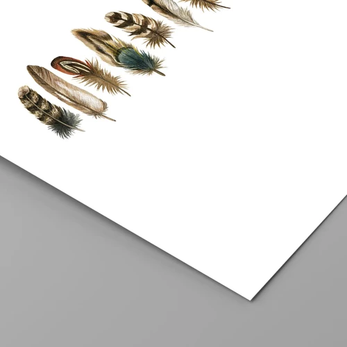 Poster - Feather Variation - 91x61 cm