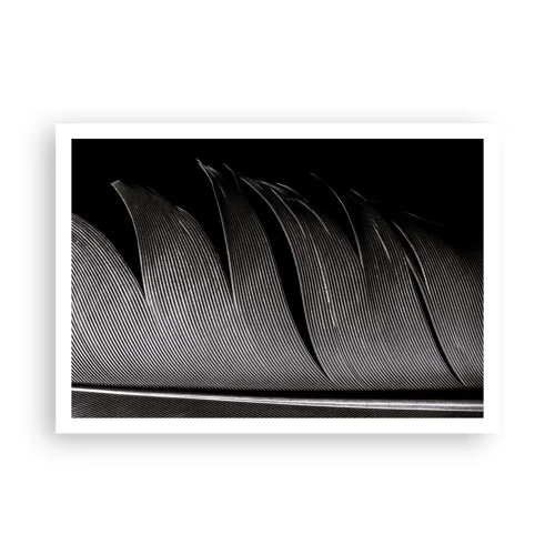 Poster - Feather - Wonderful Constract - 100x70 cm