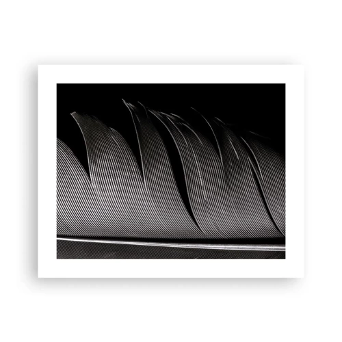 Poster - Feather - Wonderful Constract - 50x40 cm