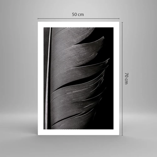 Poster - Feather - Wonderful Constract - 50x70 cm