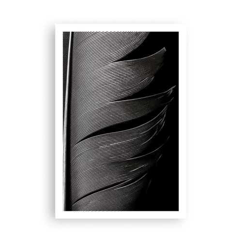Poster - Feather - Wonderful Constract - 61x91 cm