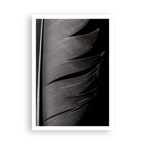 Poster - Feather - Wonderful Constract - 70x100 cm
