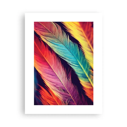 Poster - Feathered Rainbow - 30x40 cm