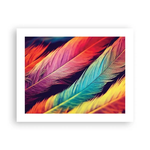 Poster - Feathered Rainbow - 50x40 cm