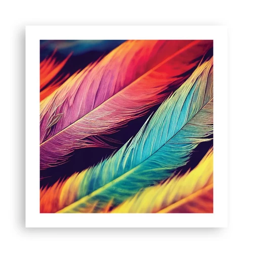 Poster - Feathered Rainbow - 50x50 cm