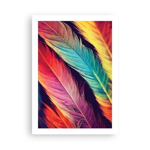 Poster - Feathered Rainbow - 50x70 cm