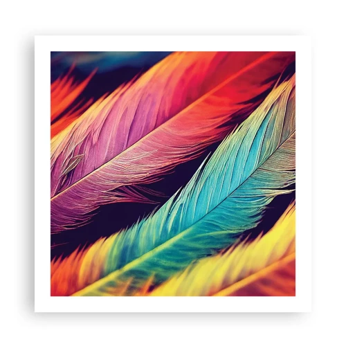 Poster - Feathered Rainbow - 60x60 cm