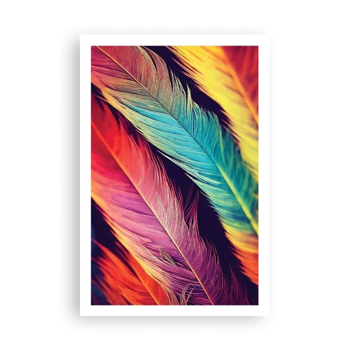 Poster - Feathered Rainbow - 61x91 cm