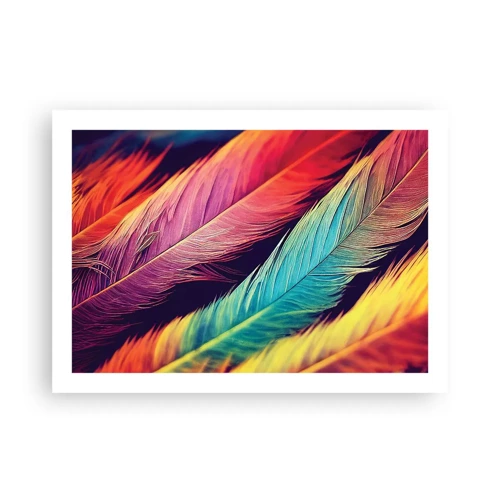 Poster - Feathered Rainbow - 70x50 cm