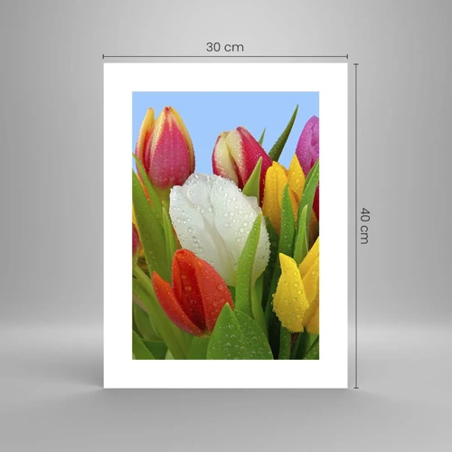 Poster - Floral Rainbow in Dew Drops - 30x40 cm