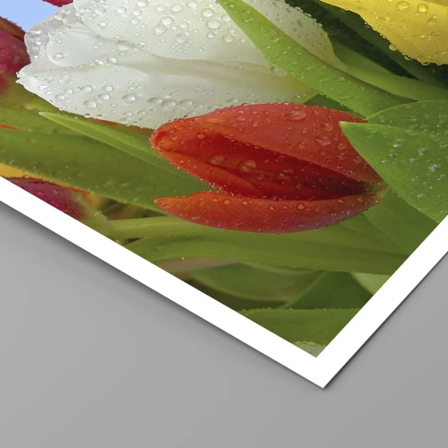 Poster - Floral Rainbow in Dew Drops - 30x40 cm