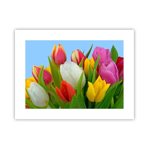 Poster - Floral Rainbow in Dew Drops - 40x30 cm