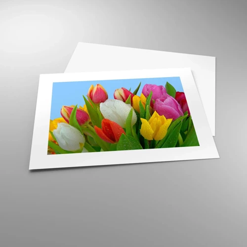 Poster - Floral Rainbow in Dew Drops - 40x30 cm