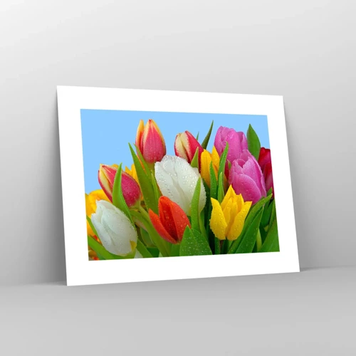 Poster - Floral Rainbow in Dew Drops - 40x30 cm