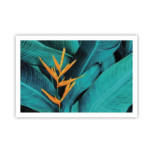 Poster - Flower of Eden - 91x61 cm