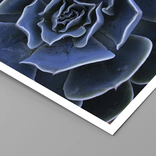 Poster - Flower of the Desert - 100x70 cm