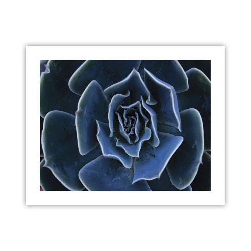 Poster - Flower of the Desert - 50x40 cm