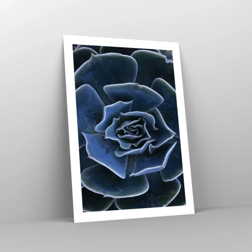 Poster - Flower of the Desert - 50x70 cm