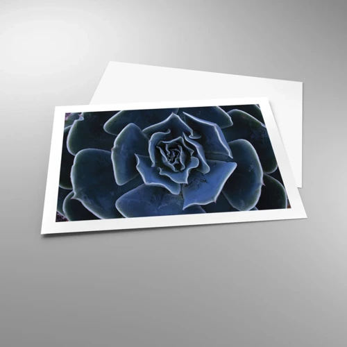 Poster - Flower of the Desert - 70x50 cm