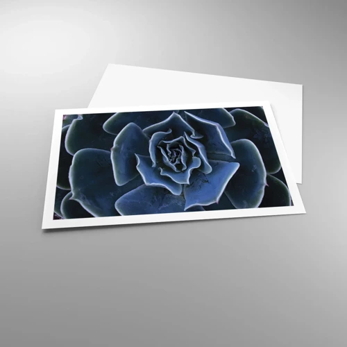 Poster - Flower of the Desert - 91x61 cm