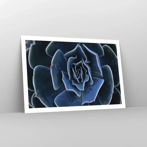 Poster - Flower of the Desert - 91x61 cm