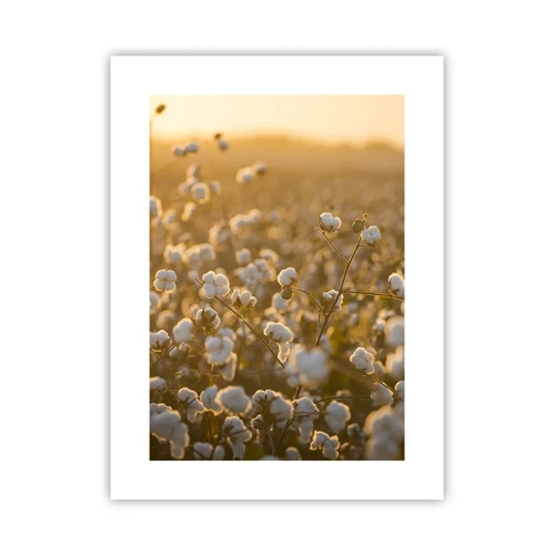 Poster - Fluffy Field - 30x40 cm