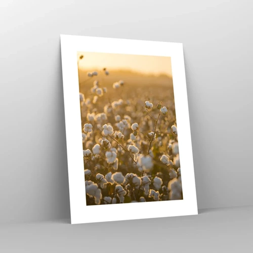 Poster - Fluffy Field - 30x40 cm