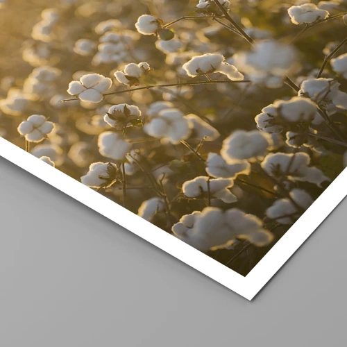 Poster - Fluffy Field - 30x40 cm