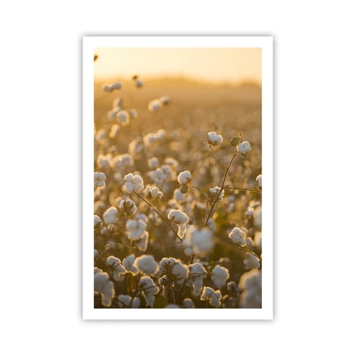 Poster - Fluffy Field - 61x91 cm