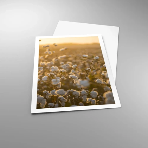 Poster - Fluffy Field - 61x91 cm