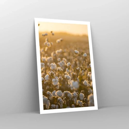 Poster - Fluffy Field - 61x91 cm